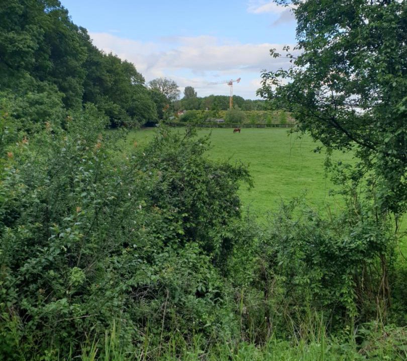 Photo of Outdoor in Saint-Doulchard