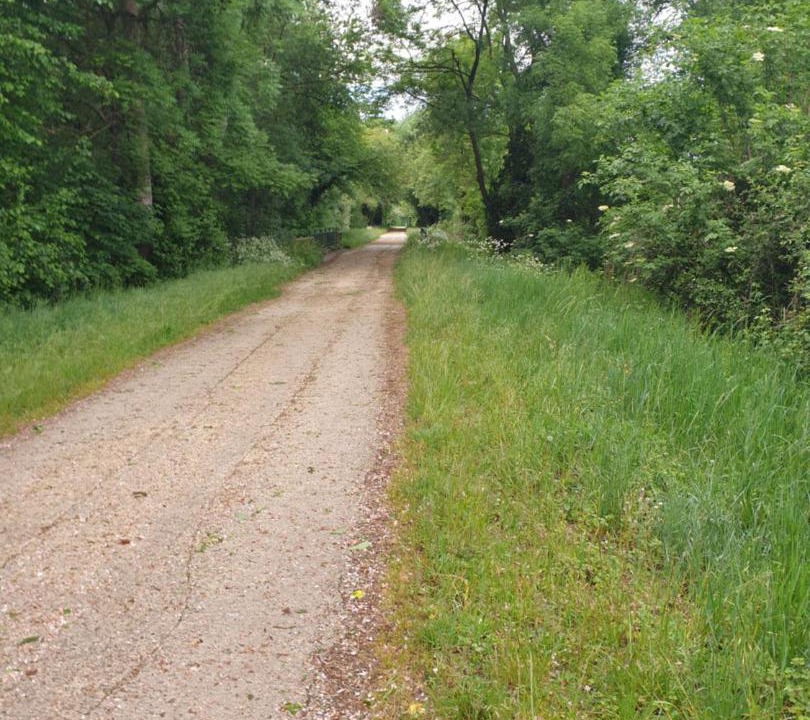 Photo of Others in Saint-Doulchard