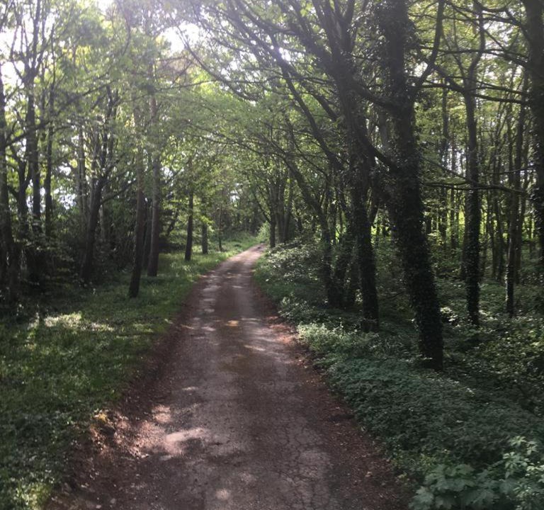 Photo of Others in Northallerton