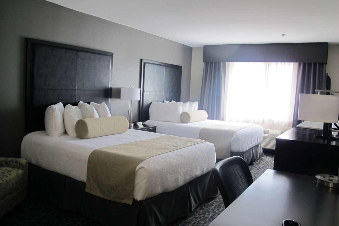 Photo of Others in Aberdeen