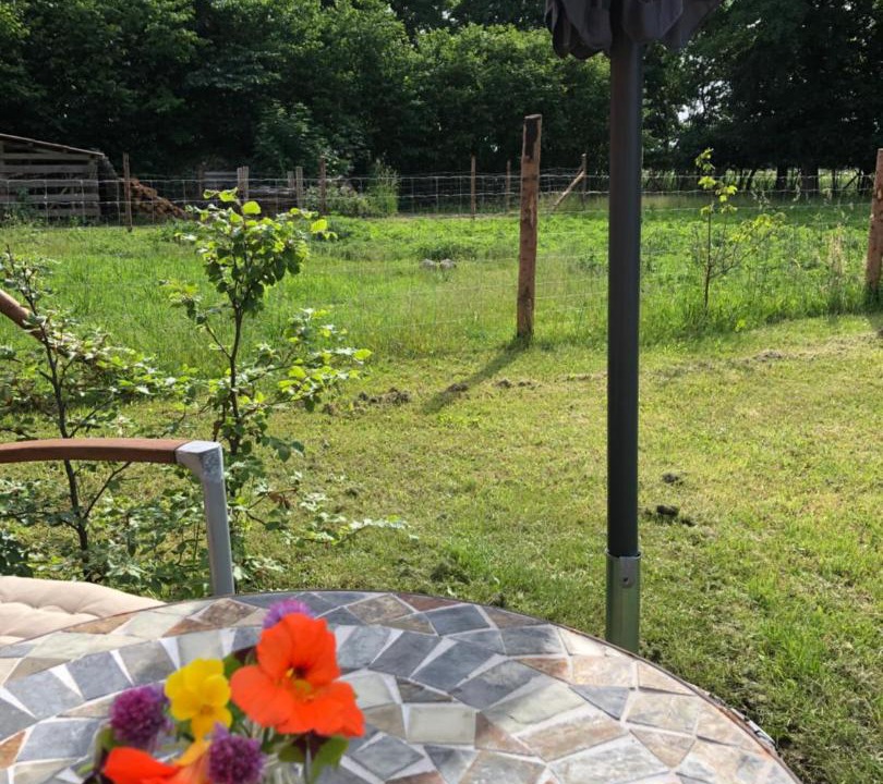 Photo of Others in Uldum