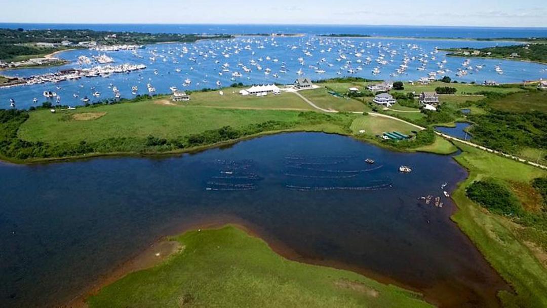Photo of Others in New Shoreham