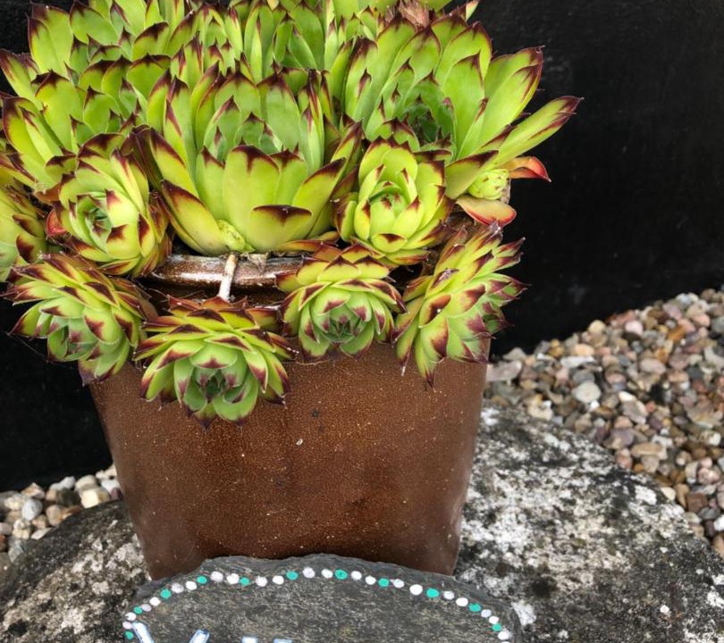 Photo of Others in Uldum