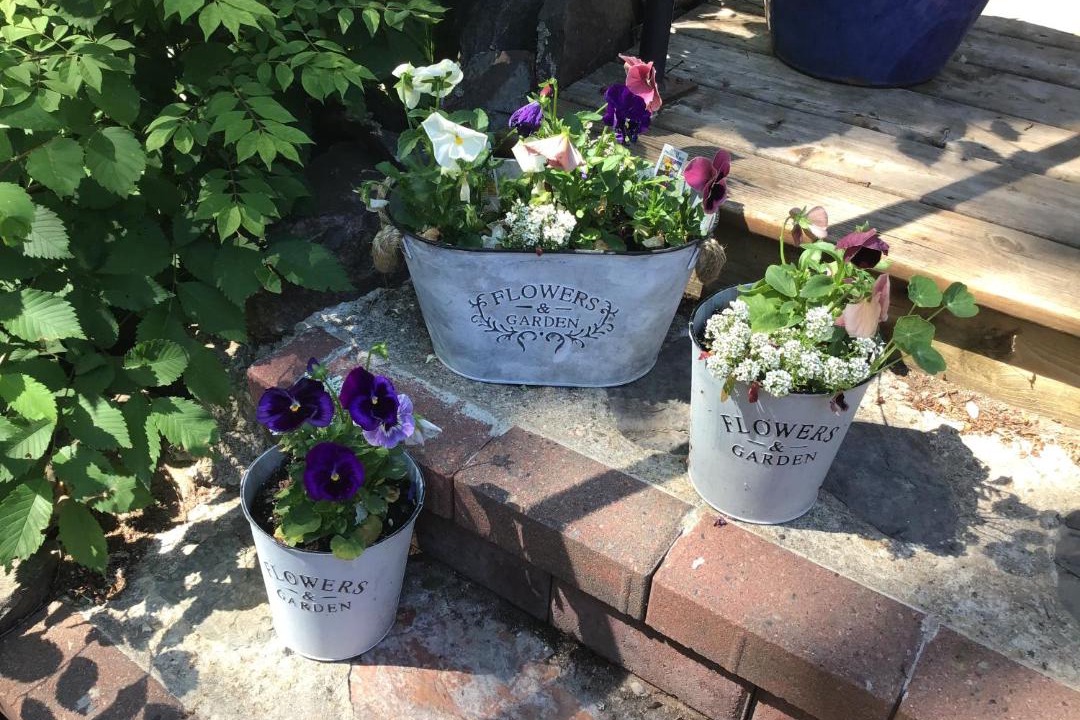 Photo of Others in Wolfville