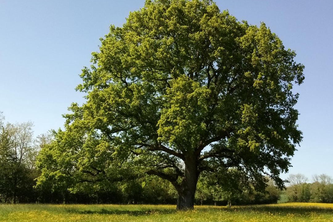 Photo of Others in Mortagne-au-Perche
