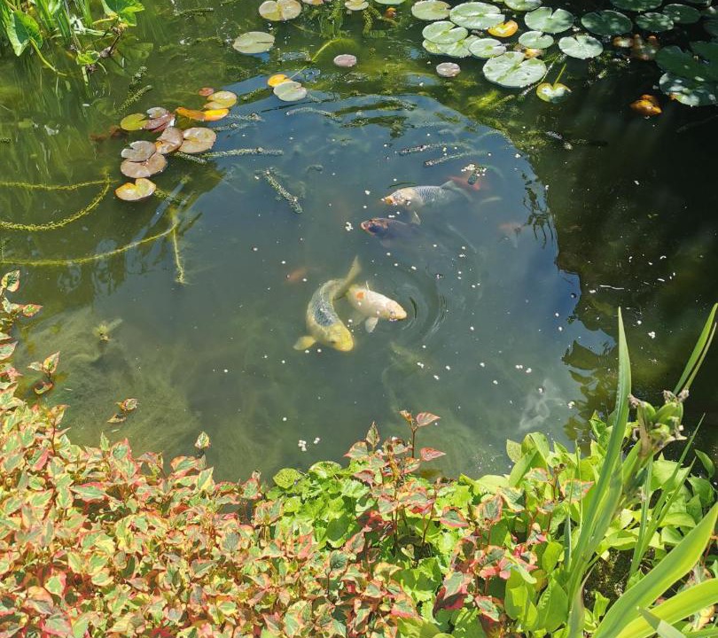 Photo of Outdoor in Ottery St Mary