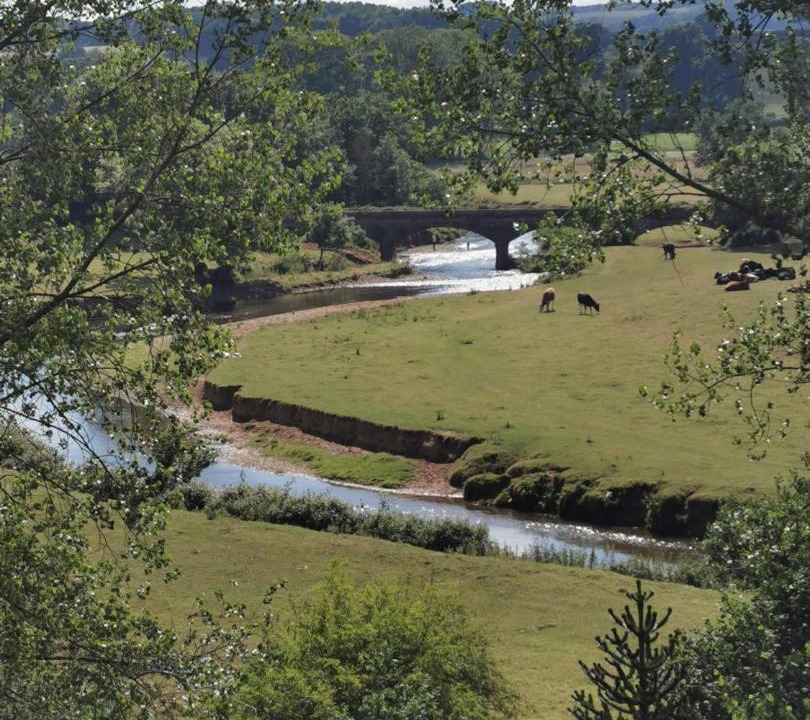 Photo of Outdoor in Ottery St Mary