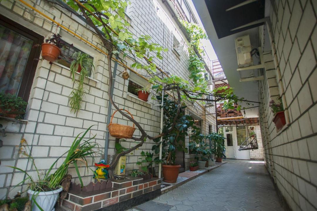 Photo of Others in Anapa