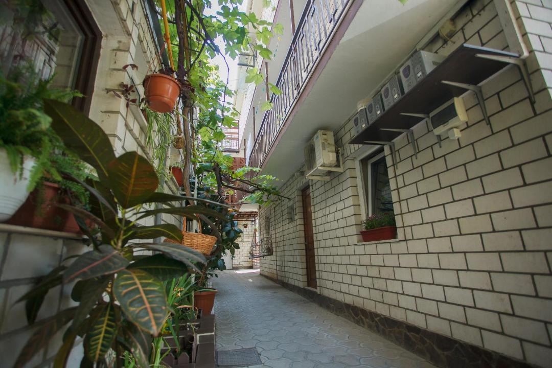 Photo of Others in Anapa