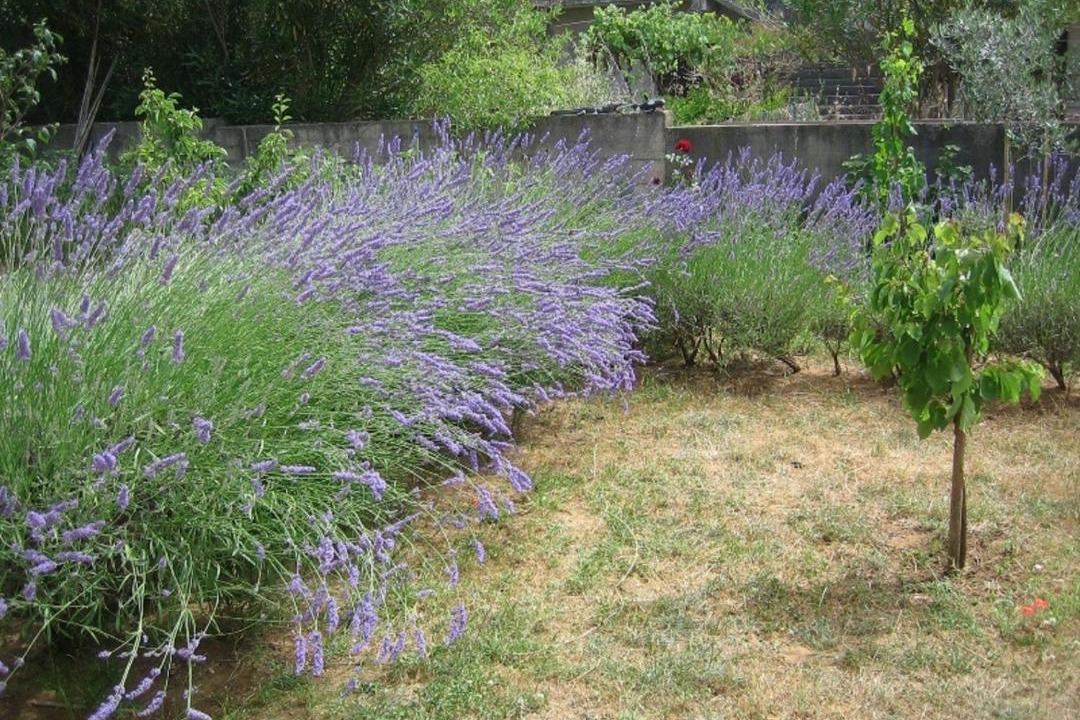 Photo of Outdoor in Nin