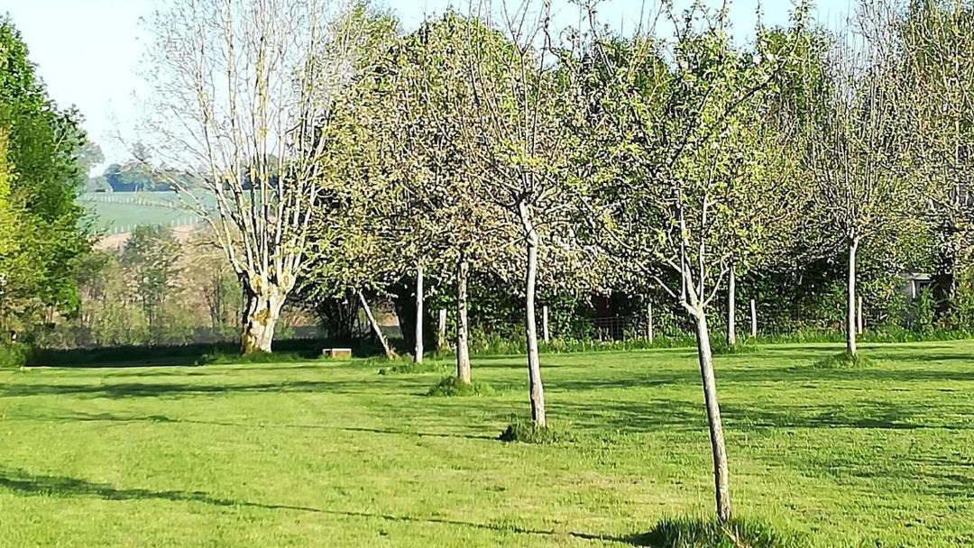 Photo of Others in Sainte-Gauburge-Sainte-Colombe