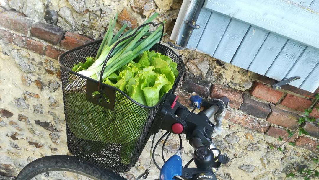 Photo of Others in Sainte-Gauburge-Sainte-Colombe