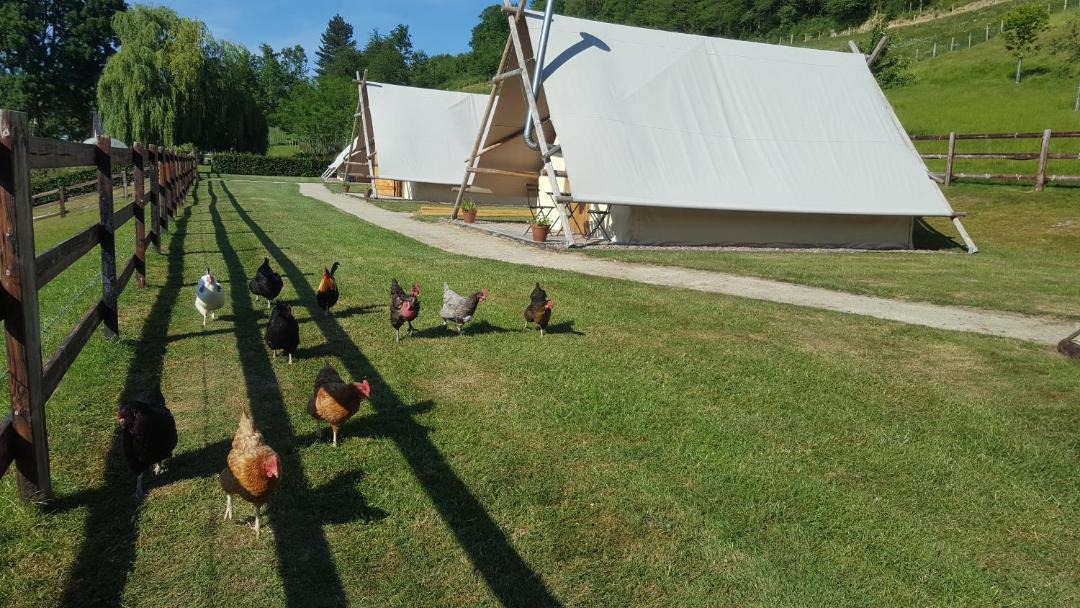 Photo of Others in Survie