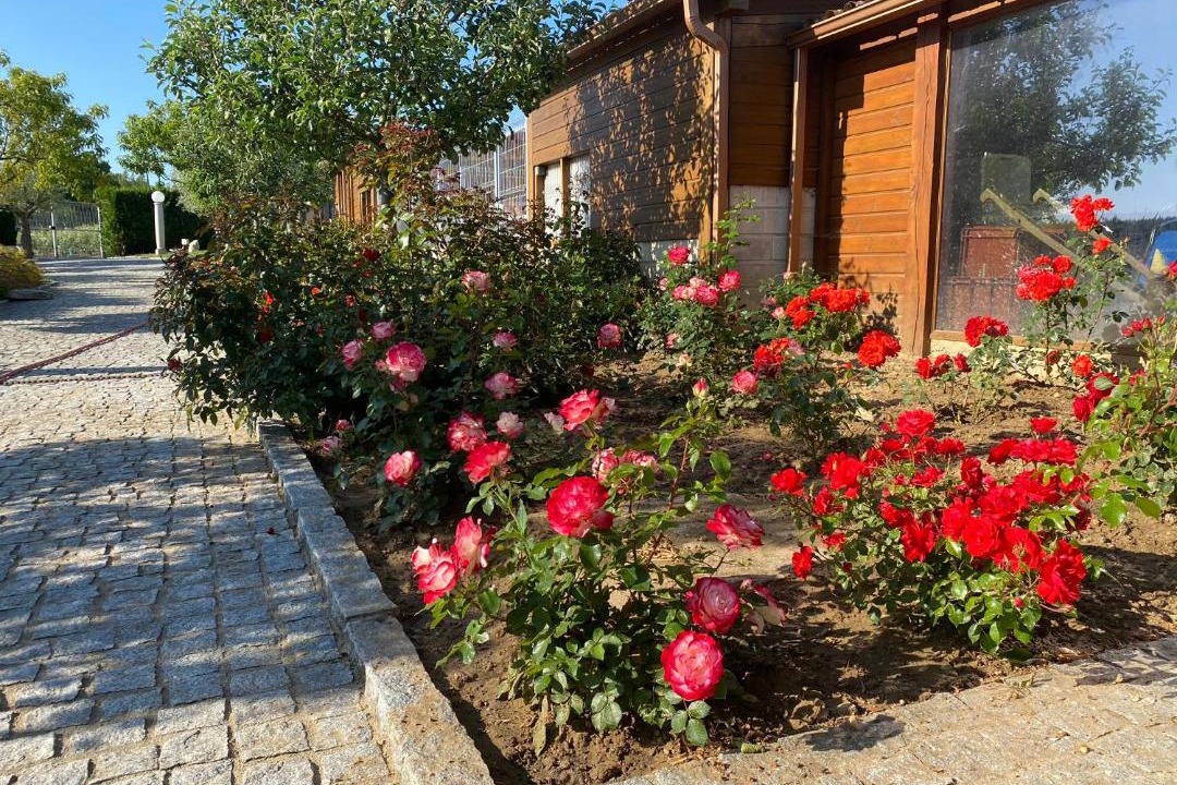 Photo of Others in Chatillon-sur-Marne