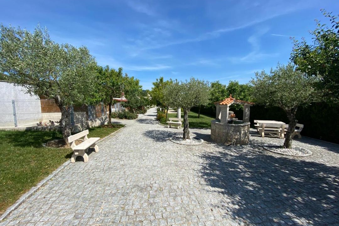 Photo of Others in Chatillon-sur-Marne