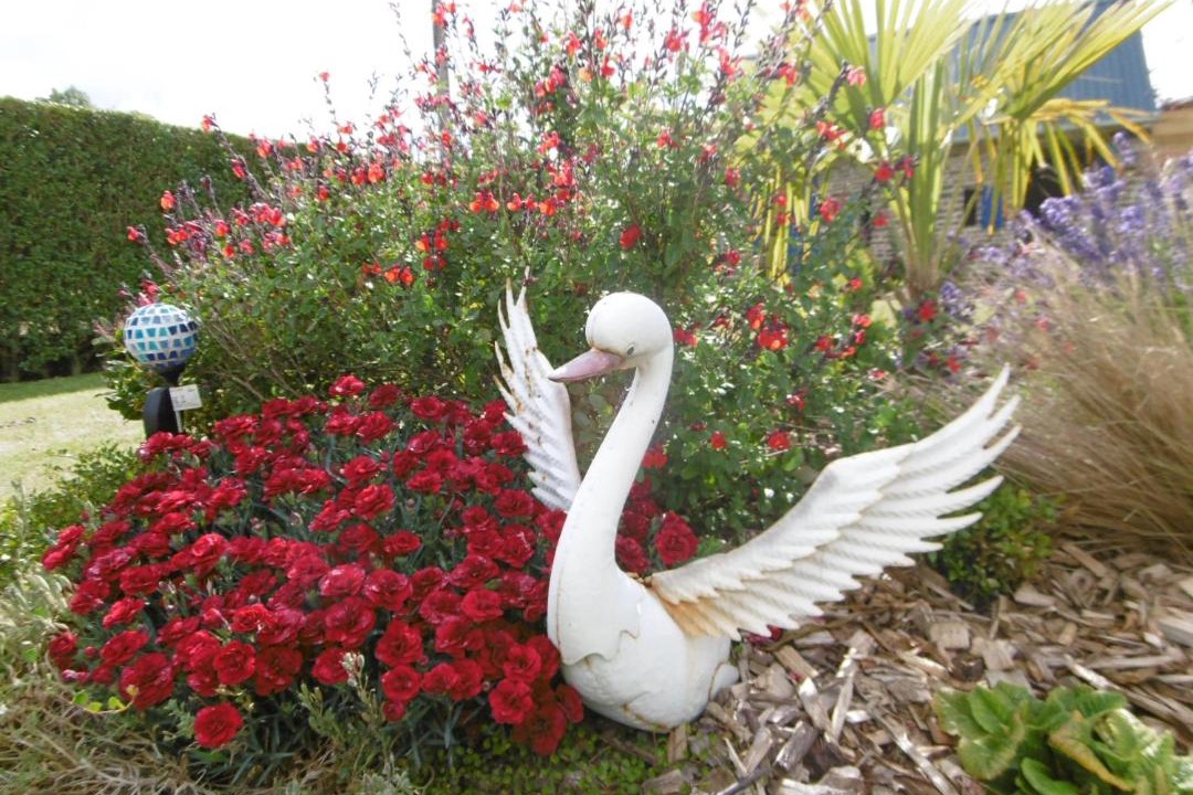 Photo of Others in Saint-Remy