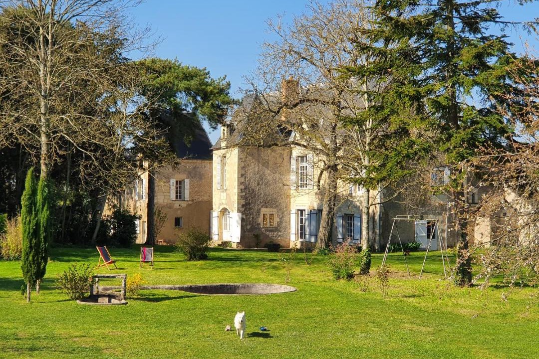 Photo of Others in Montreuil-Bellay
