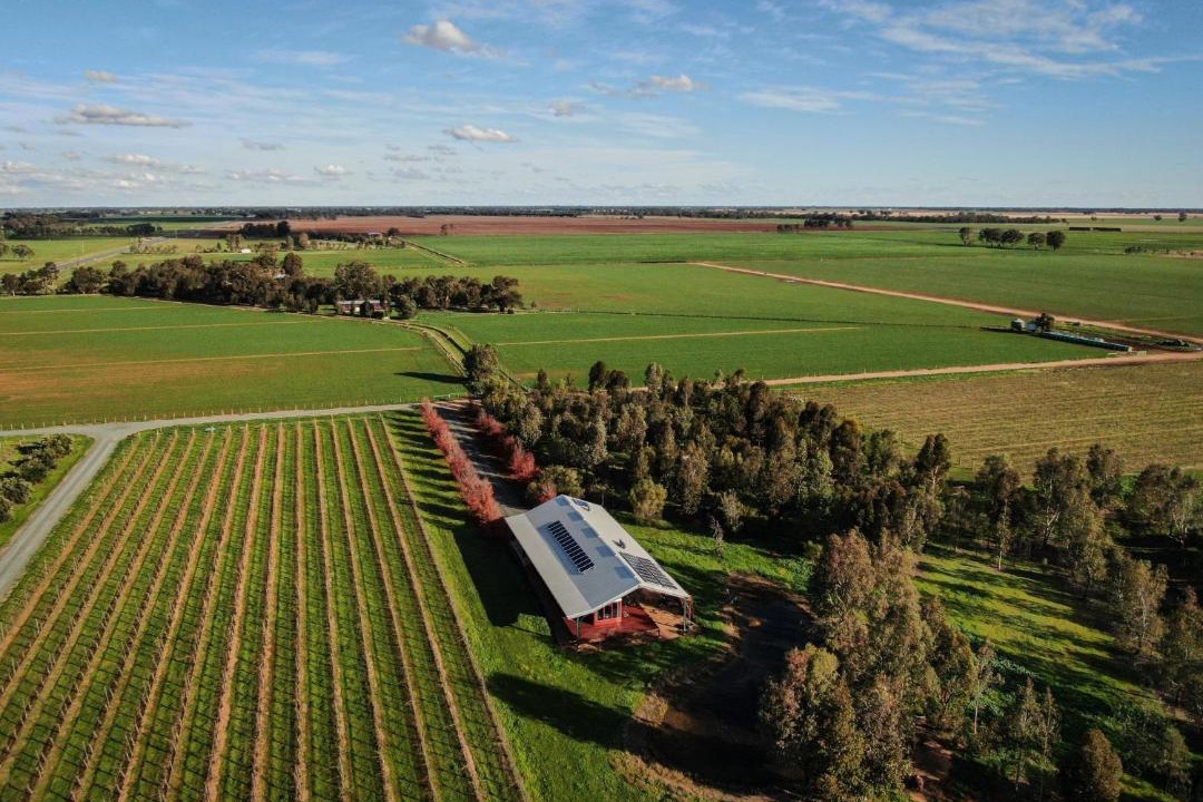 Photo of Others in Roslynmead