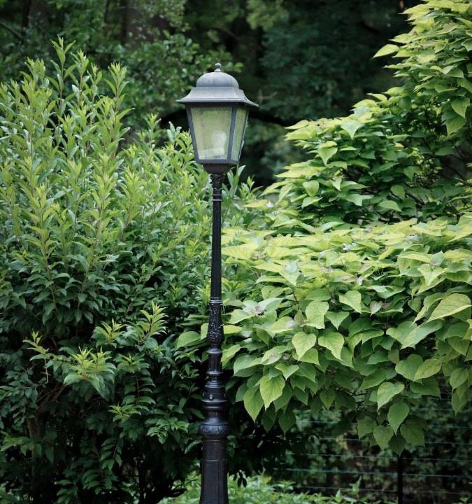 Photo of Others in Saint-Cyr-sous-Dourdan