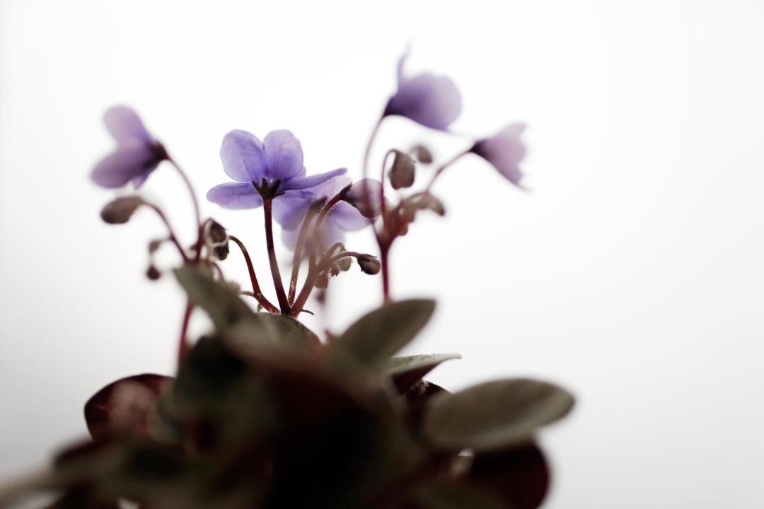 Photo of Others in 13th Arrondissement