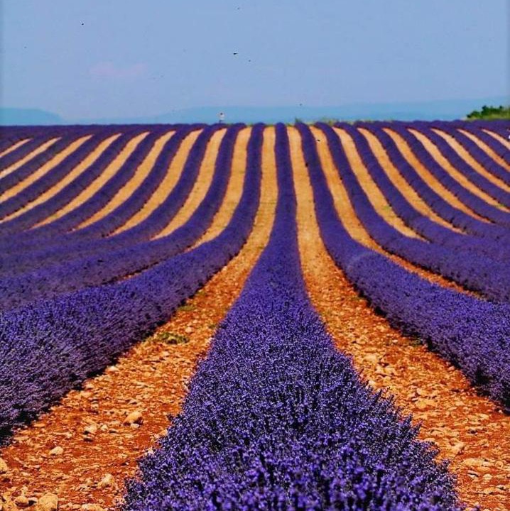 Photo of Bedroom in Sault