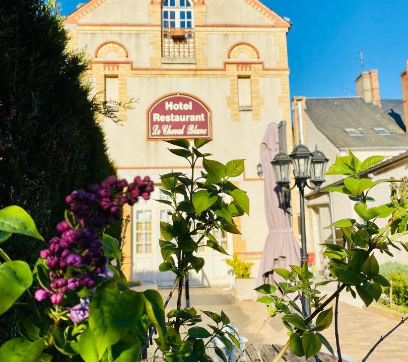 Photo of Others in Jargeau