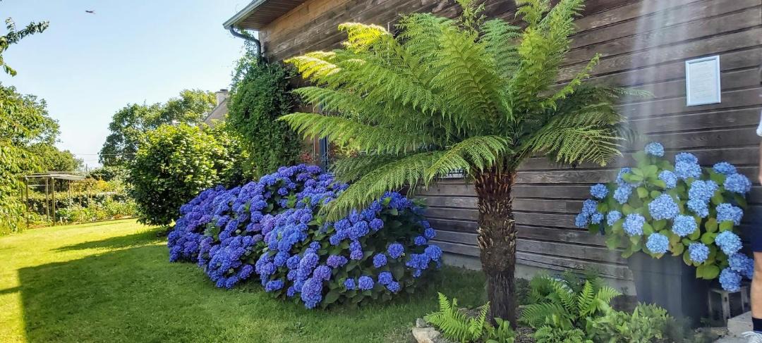 Photo of Others in Ambon