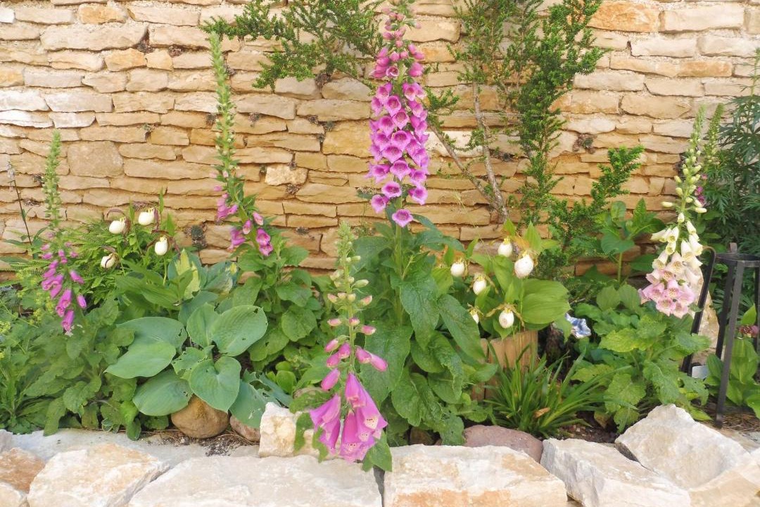 Photo of Others in Vernot