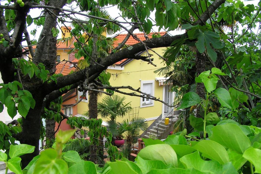 Photo of Others in Opatija