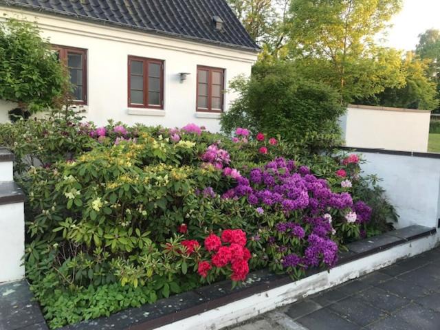 Photo of Others in Ballerup