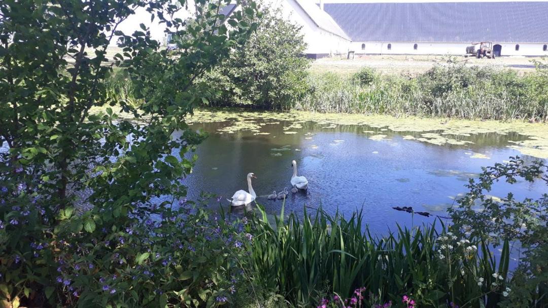 Photo of Others in Frederikshavn
