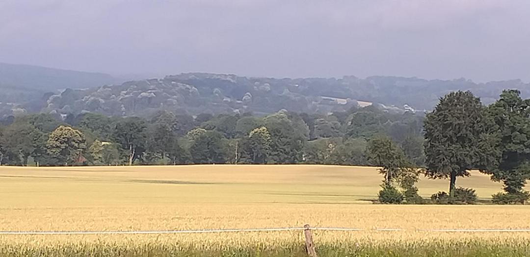 Photo of Others in Lonlay-l'Abbaye