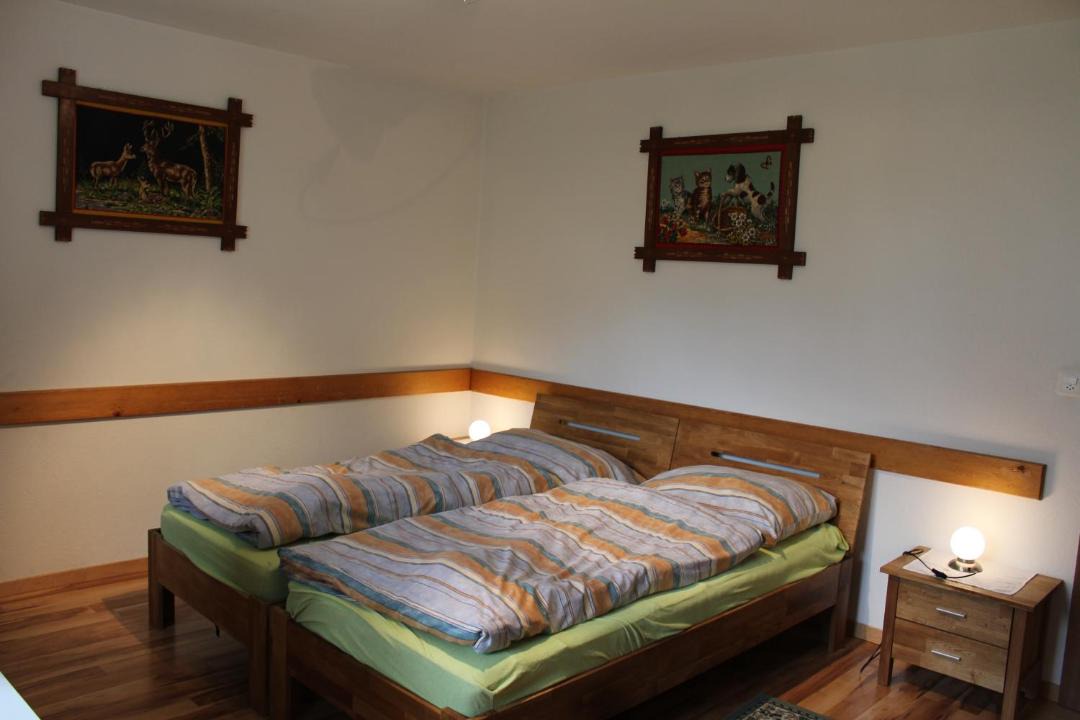 Photo of Others in Saas Grund