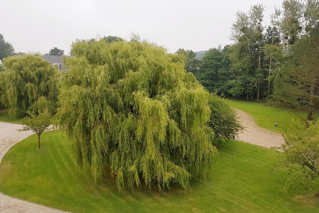 Photo of Others in Villers-sur-Mer