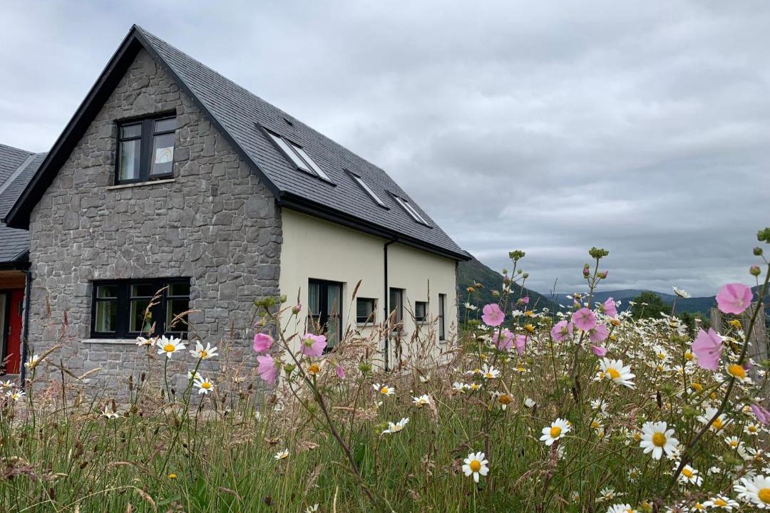 Photo of Others in Taynuilt