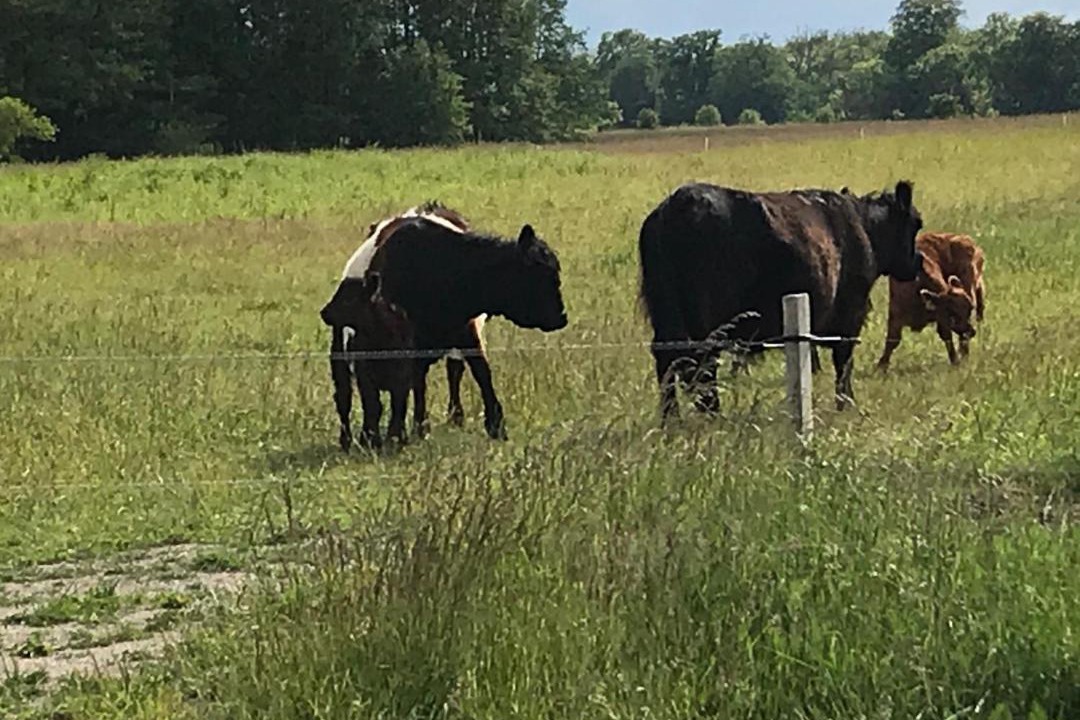 Photo of Others in Roneklint