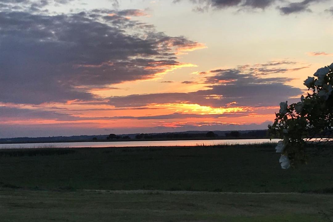 Photo of Others in Roneklint