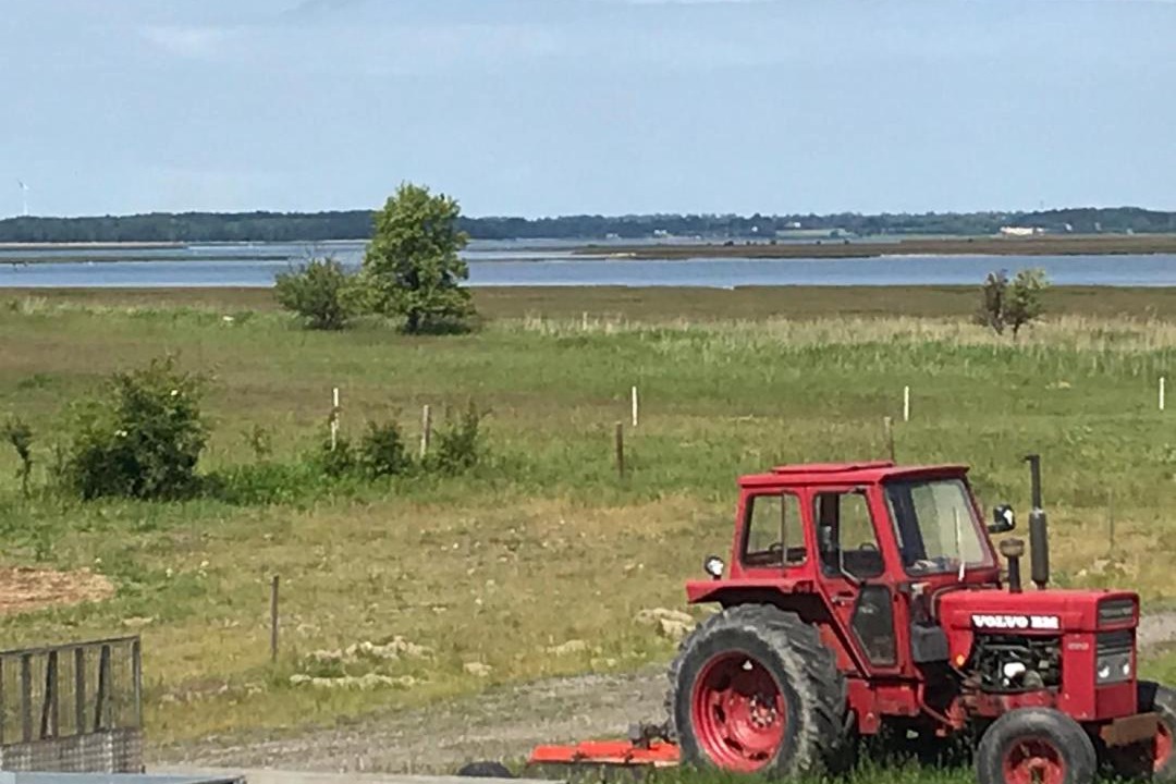 Photo of Others in Roneklint