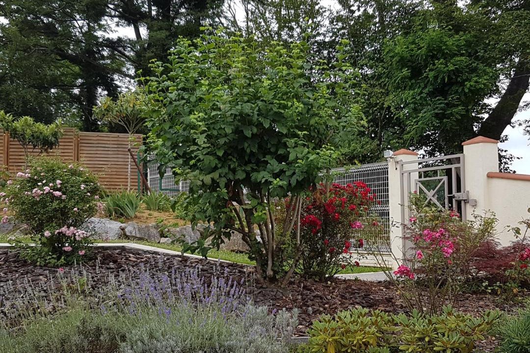 Photo of Buildings in Gan