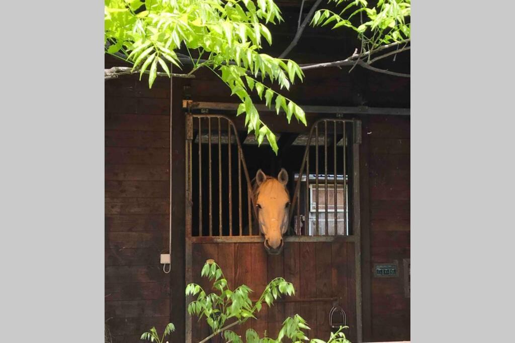 Photo of Others in Sauvigny-les-Bois