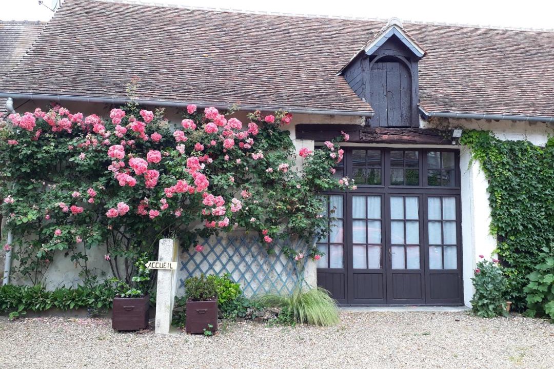 Photo of Buildings in Nouans-les-Fontaines