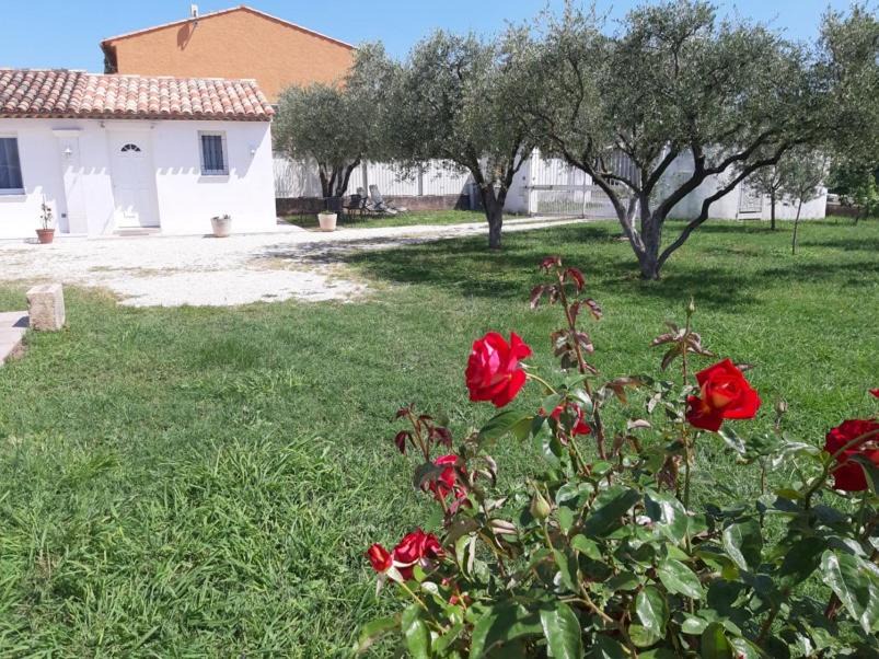 Photo of Others in Puget-sur-Argens