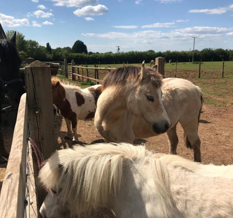 Photo of Others in Coalpit Heath