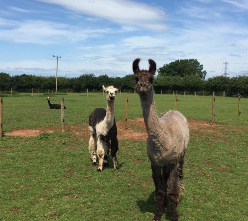 Photo of Others in Coalpit Heath