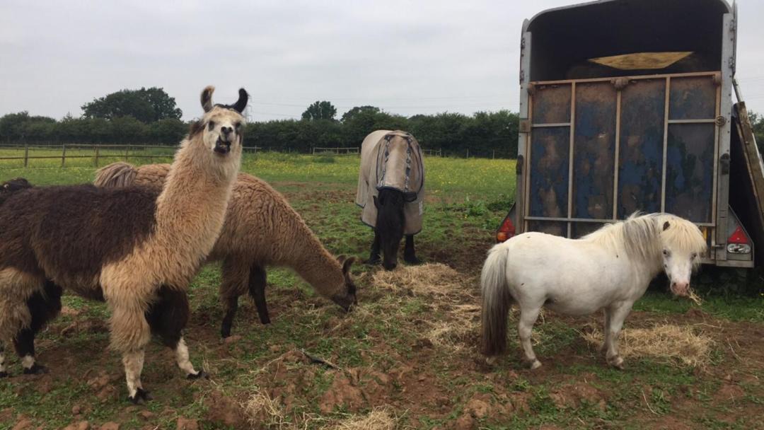 Photo of Others in Coalpit Heath