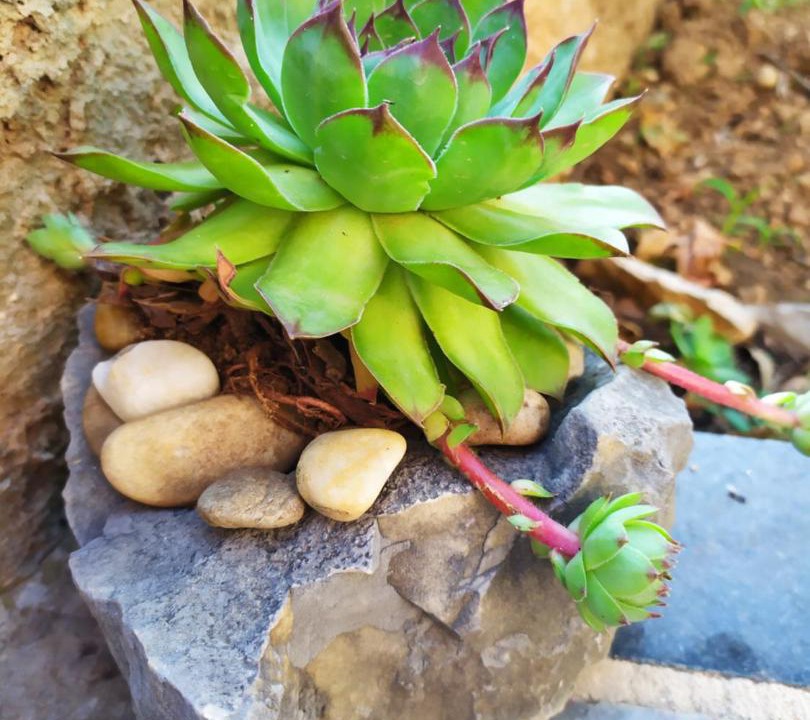 Photo of Outdoor in Srima