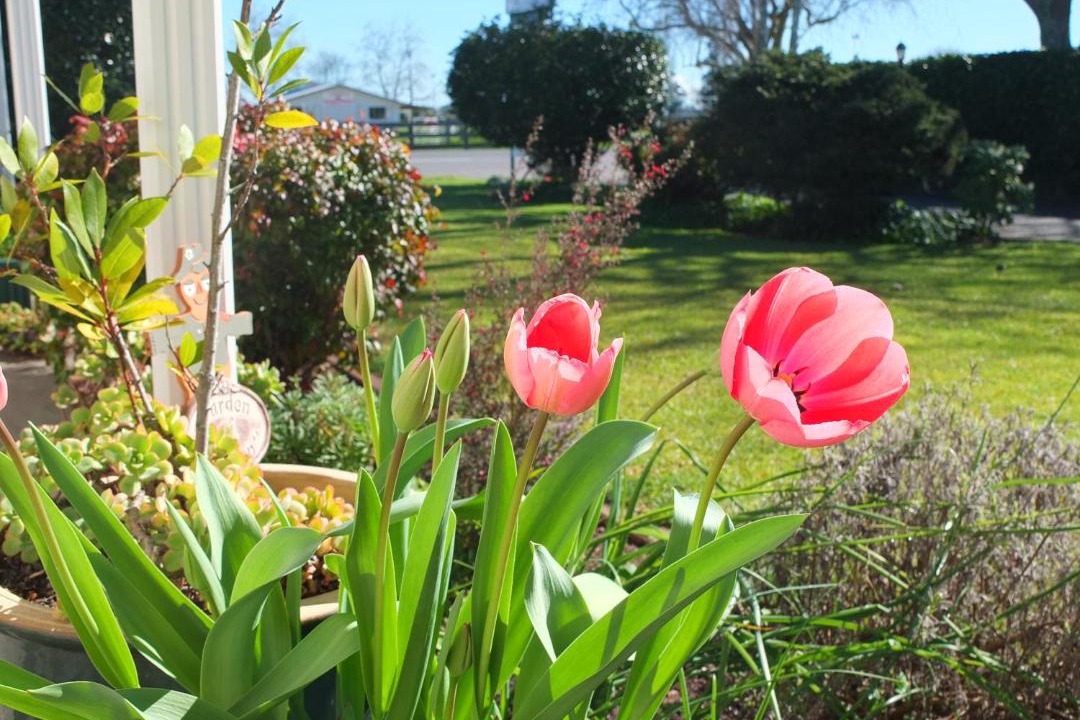 Photo of Others in Cambridge