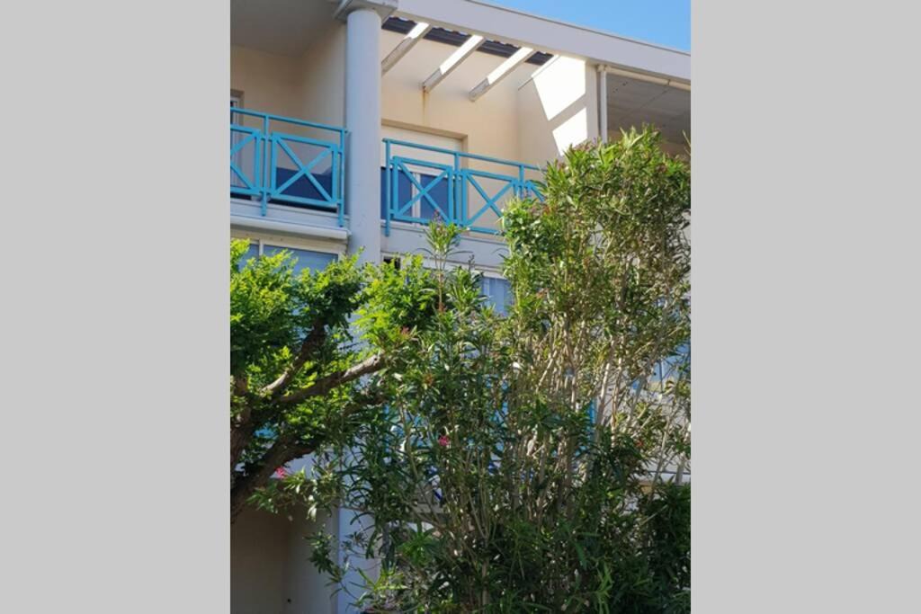 Photo of Others in Palavas-les-Flots