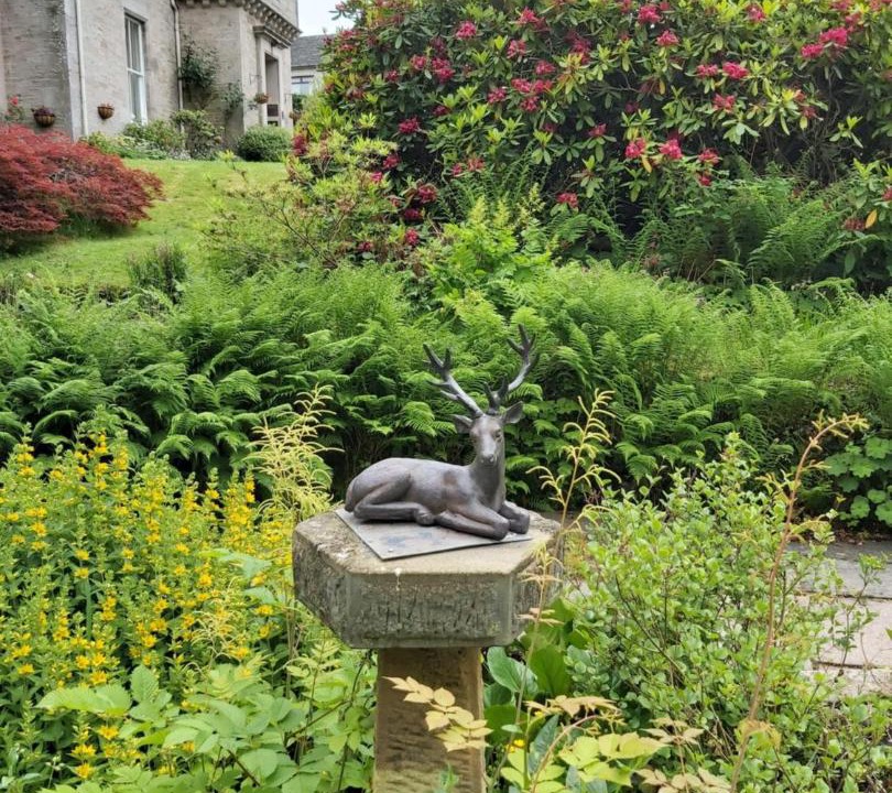 Photo of Others in Jedburgh