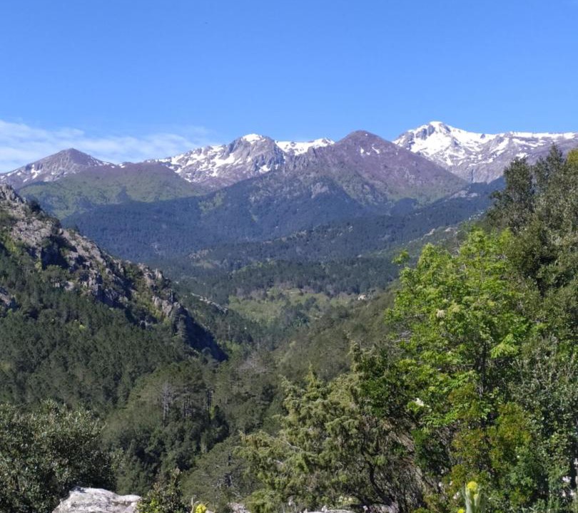 Photo of Others in Ghisonaccia